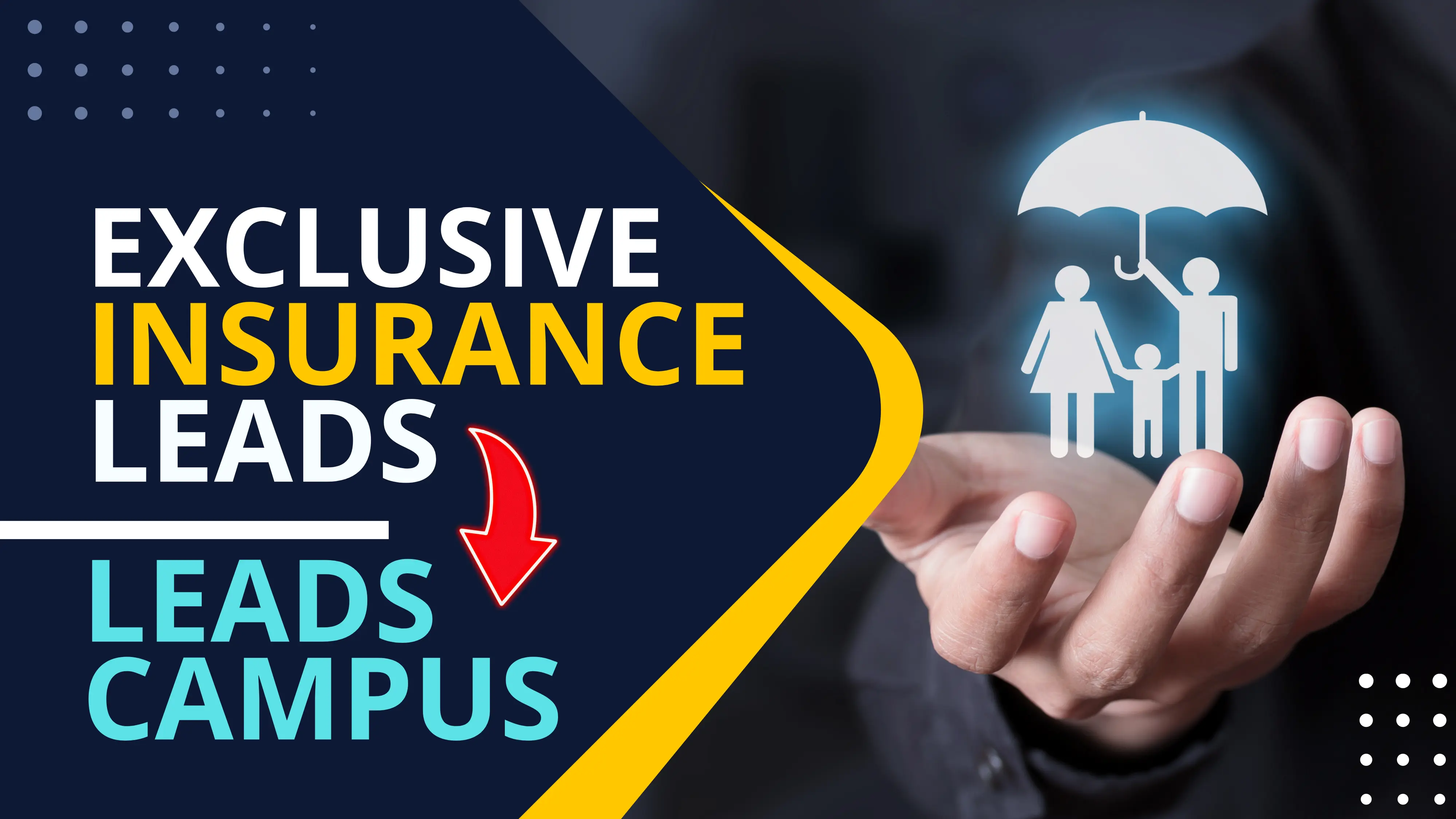 How to download Insurance Leads